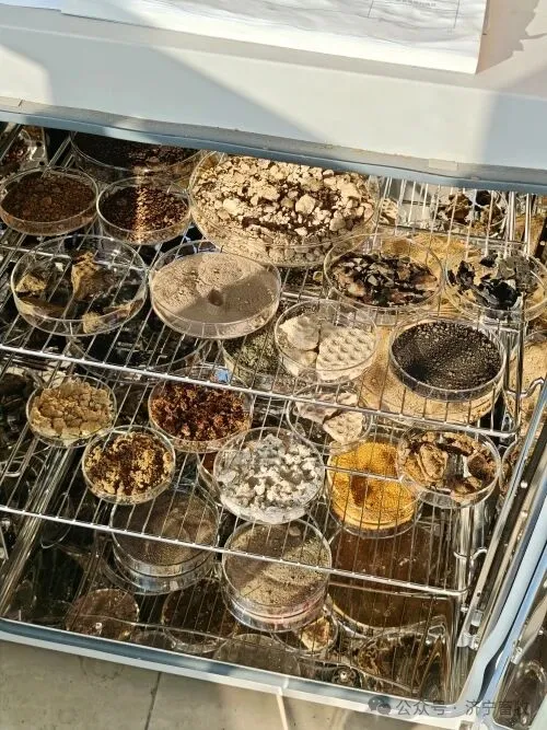 饲料中抗生素滤渣鉴别技术取得突破