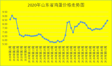 鸡蛋.png