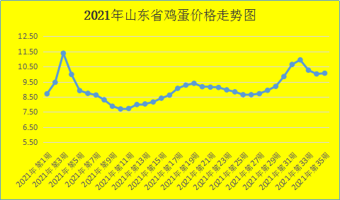 肉鸡价格行情(全国今日肉鸡价格行情)